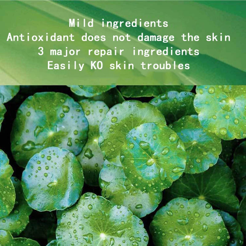 Korean Centella Collagen Sleeping Face Masks (30pcs) - Overnight Hydrating Mask