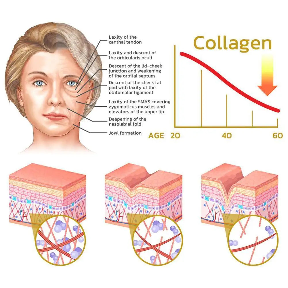 Korean Snail Collagen 92% Face Cream - Repair & Moisturize
